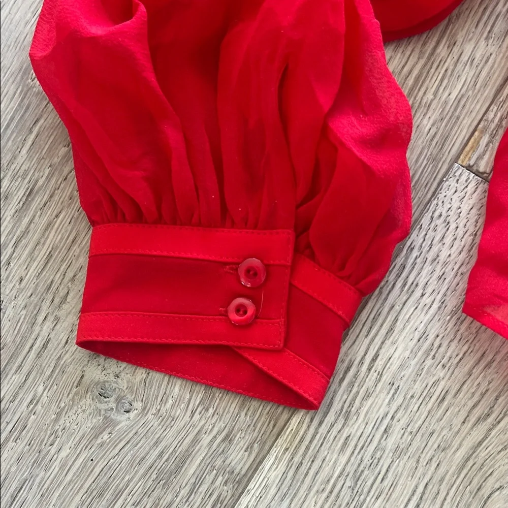 Alice + Olivia Sheer Button Down Blouse Red Silk - Picture 6 of 6